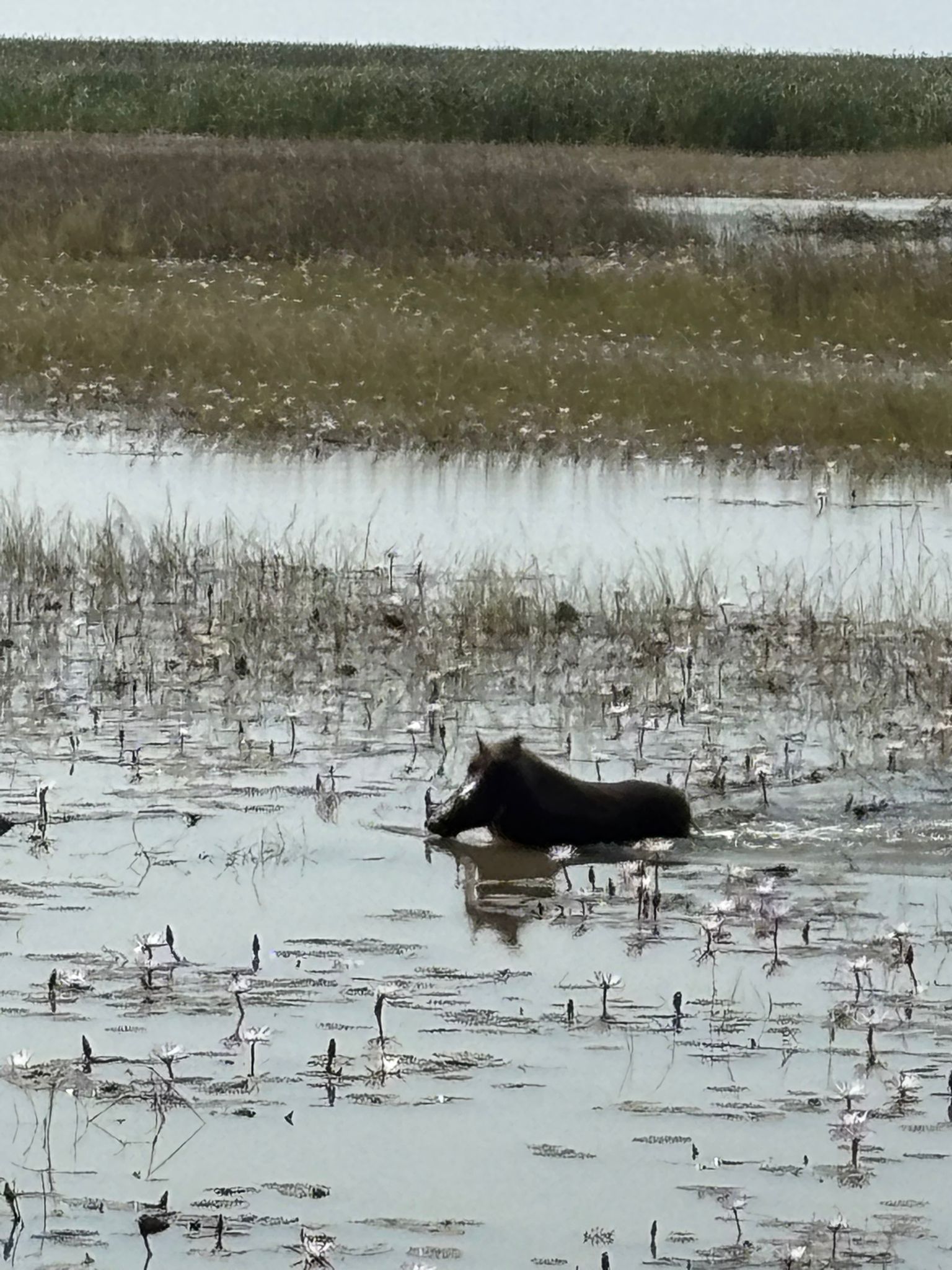 WhatsApp Image 2026-01-01 at 15.39.10 (3)