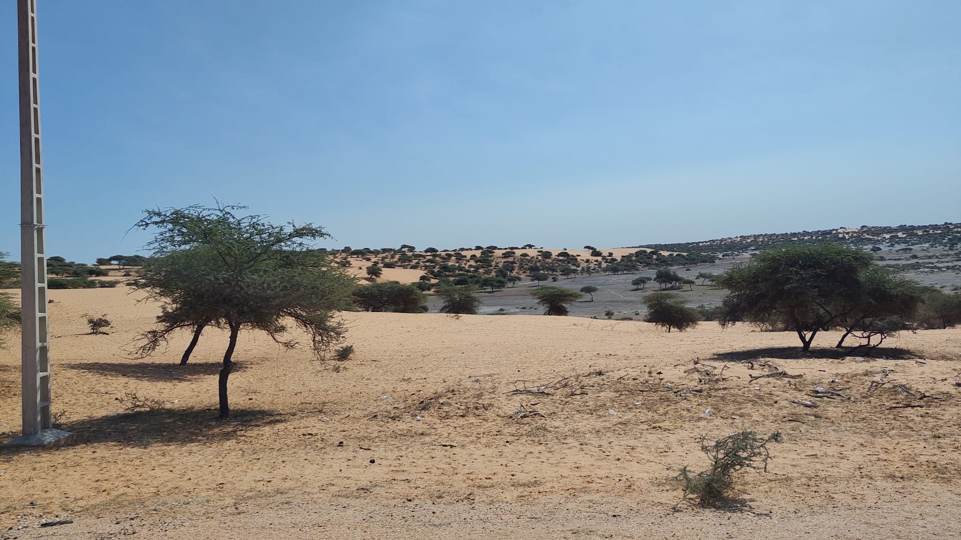 WhatsApp Image 2026-01-01 at 15.39.10