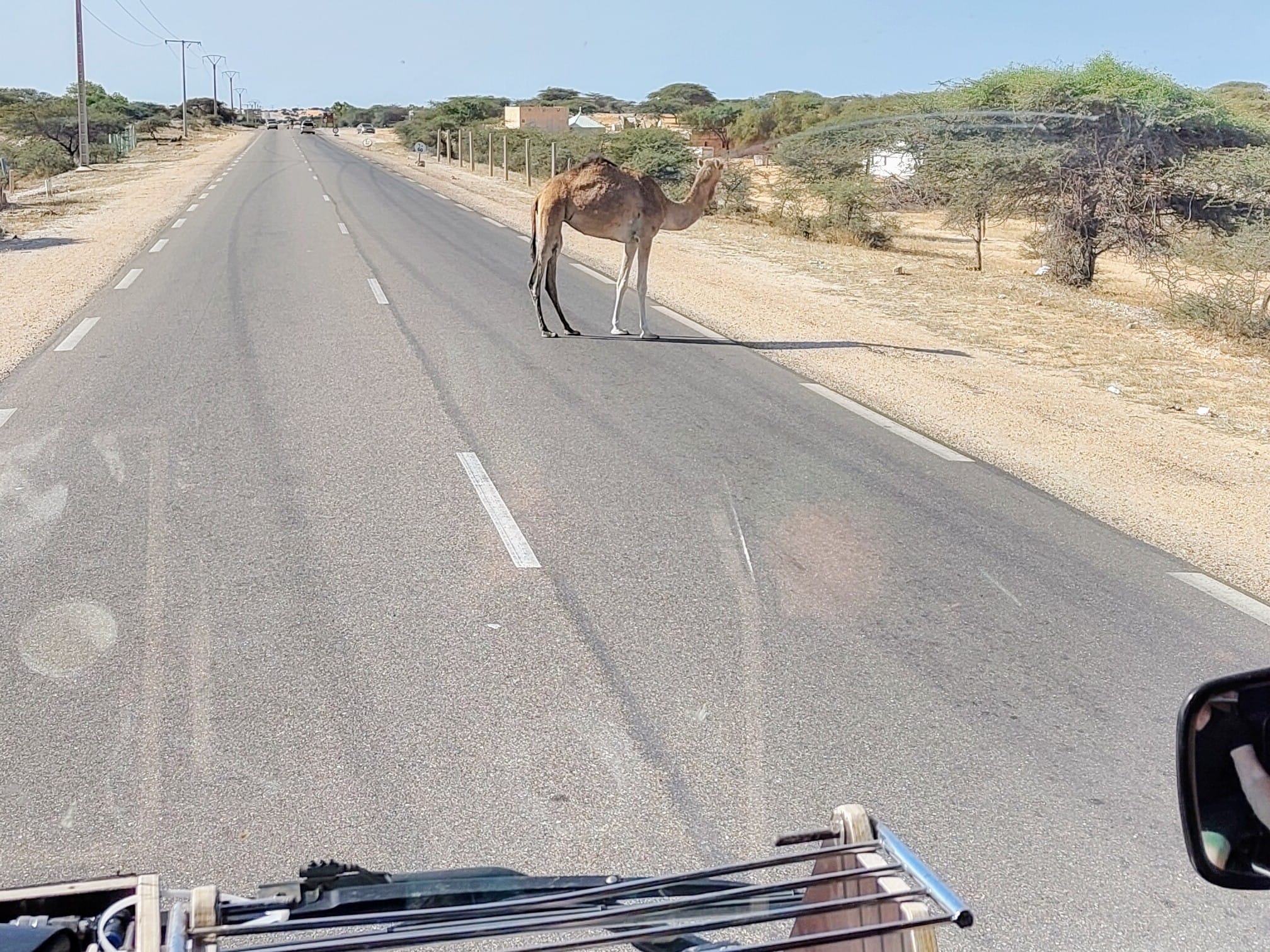 WhatsApp Image 2026-01-01 at 15.40.36 (1)