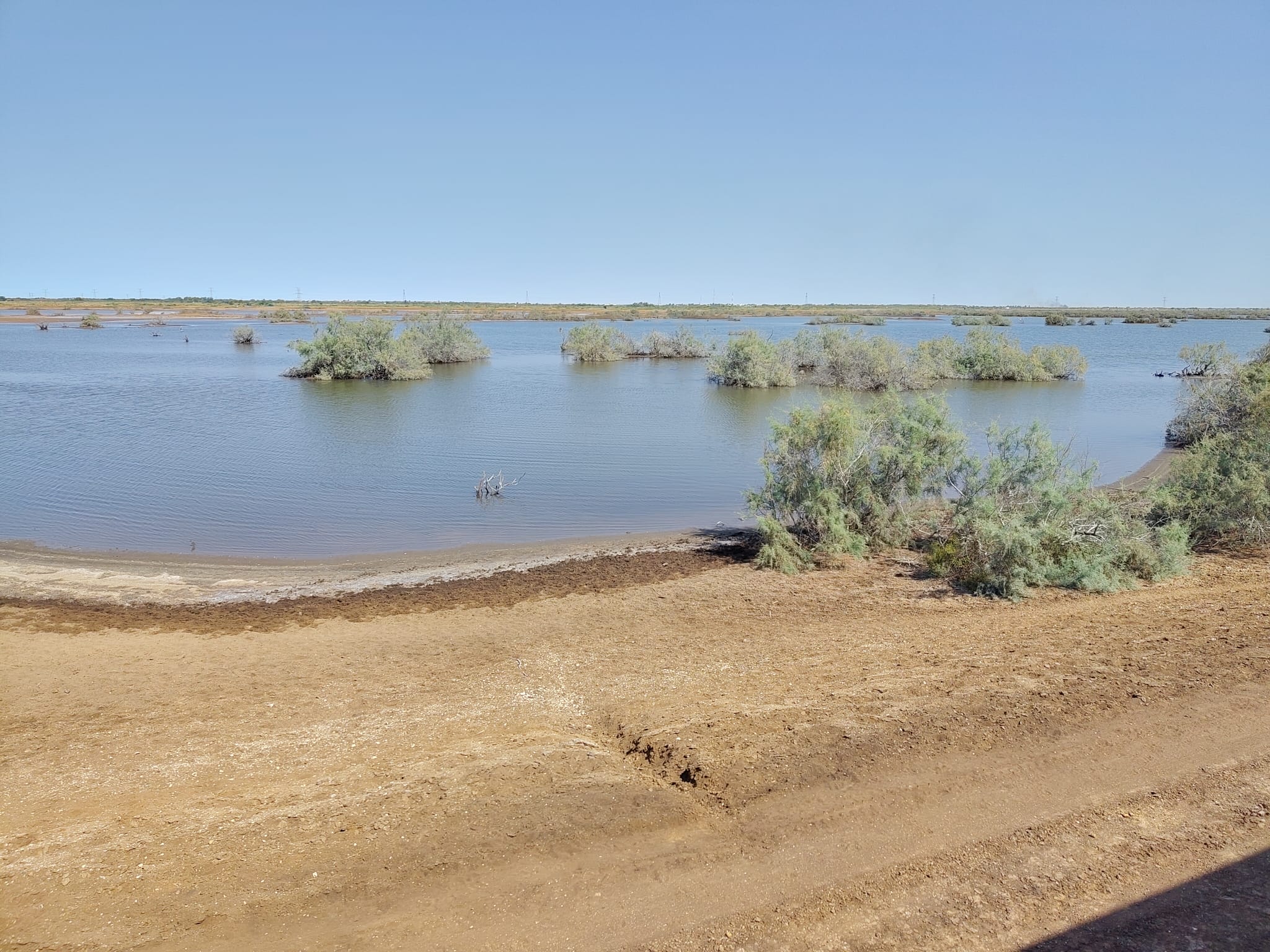 WhatsApp Image 2026-01-01 at 15.40.36 (2)