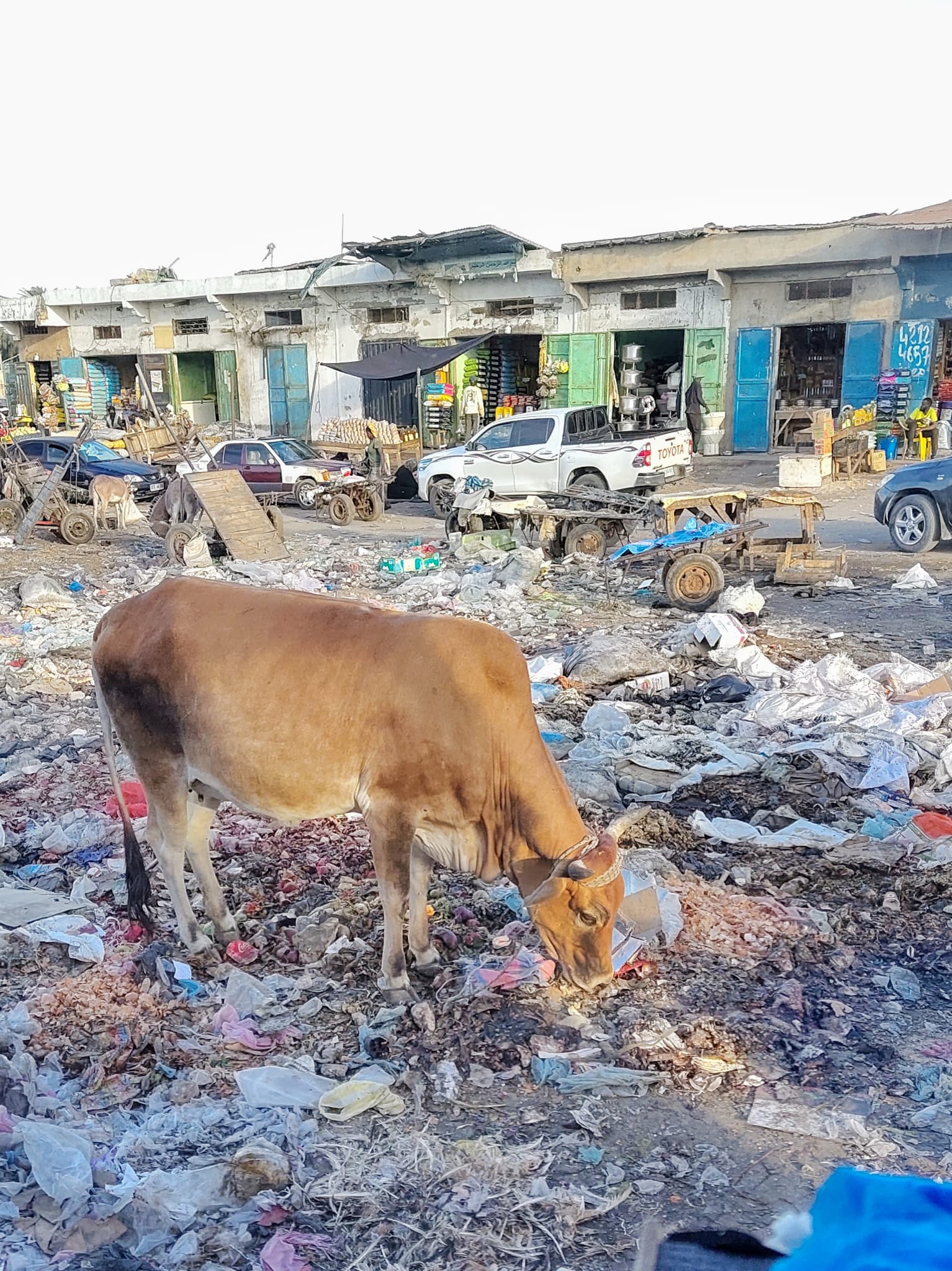 WhatsApp Image 2026-01-01 at 15.40.36