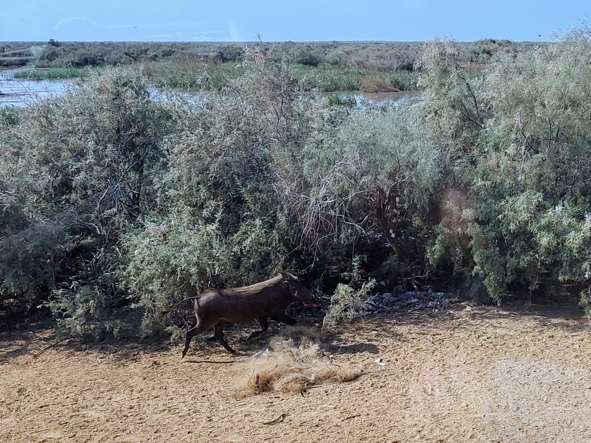 WhatsApp Image 2026-01-01 at 15.41.11