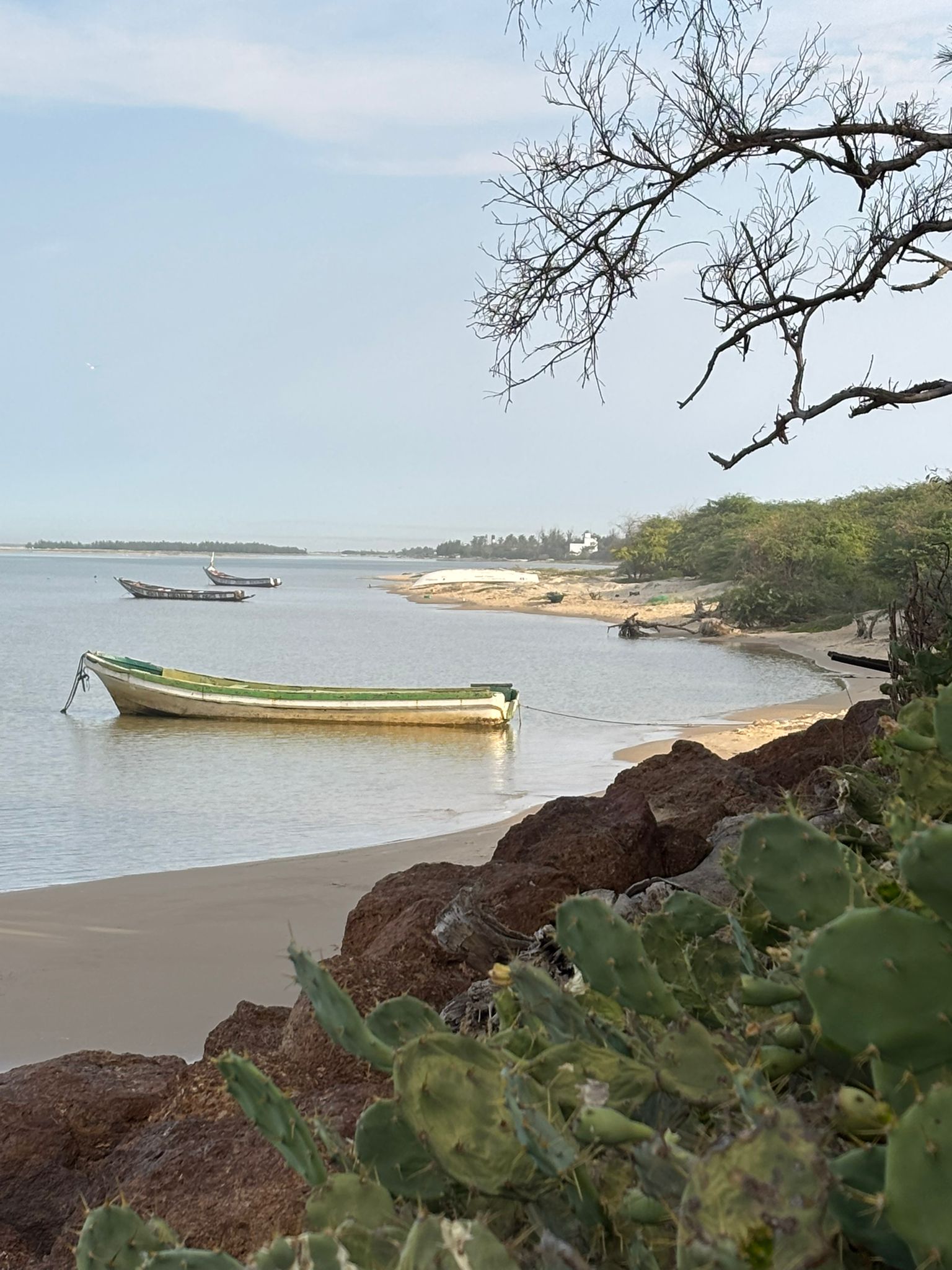 WhatsApp Image 2026-01-02 at 17.03.02 (2)