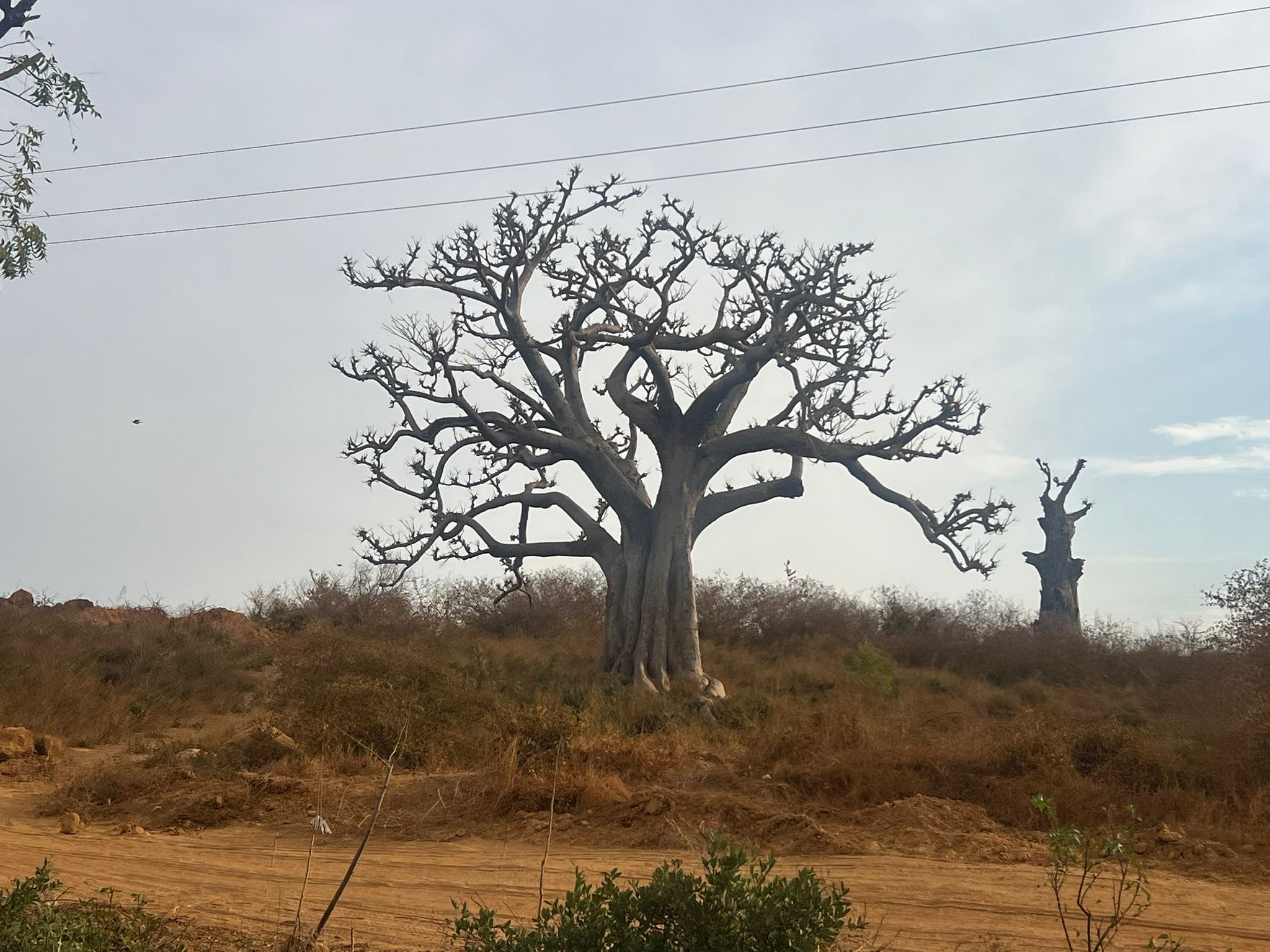 WhatsApp Image 2026-01-02 at 17.03.03 (1)