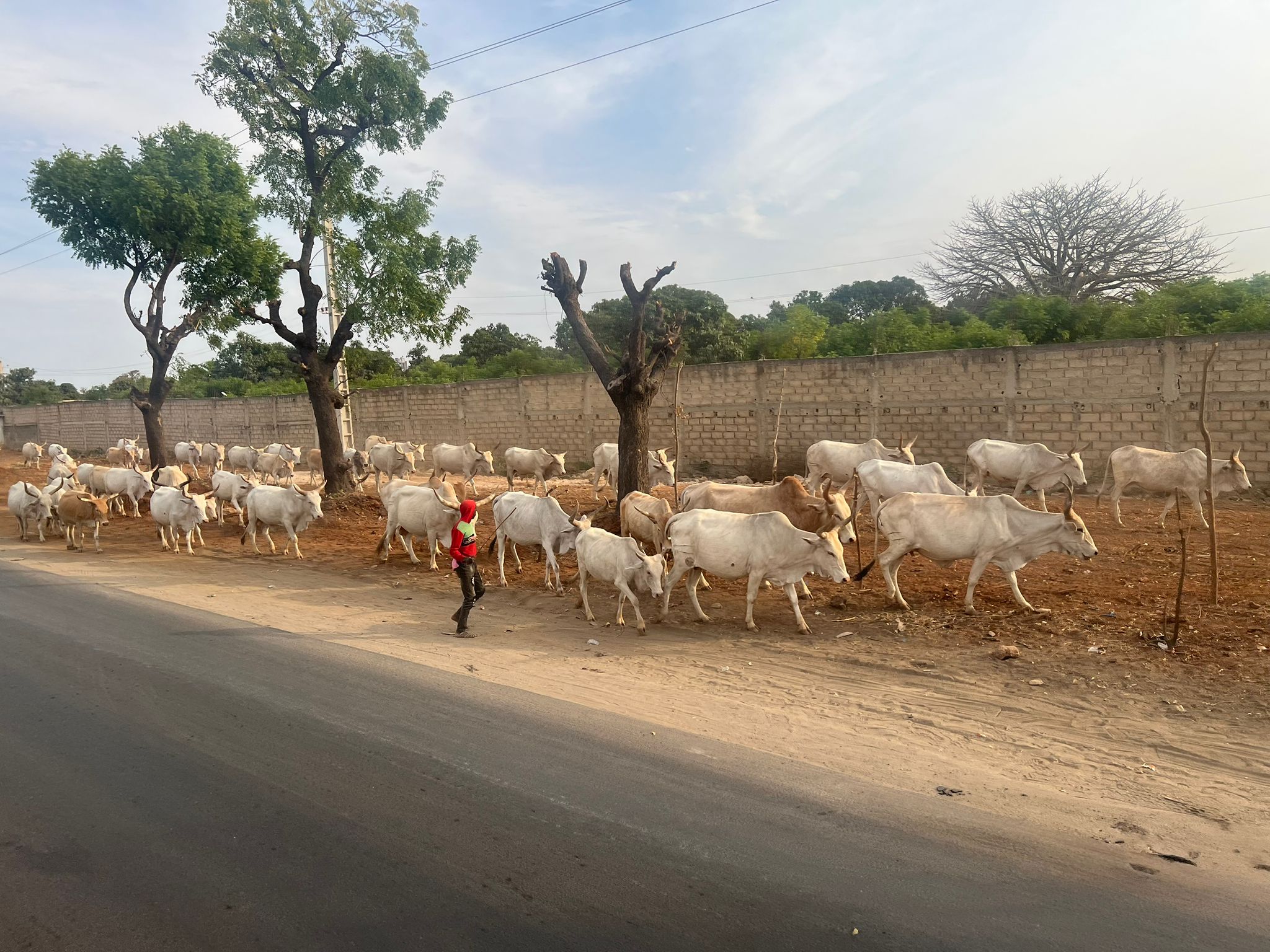 WhatsApp Image 2026-01-02 at 17.03.03 (2)