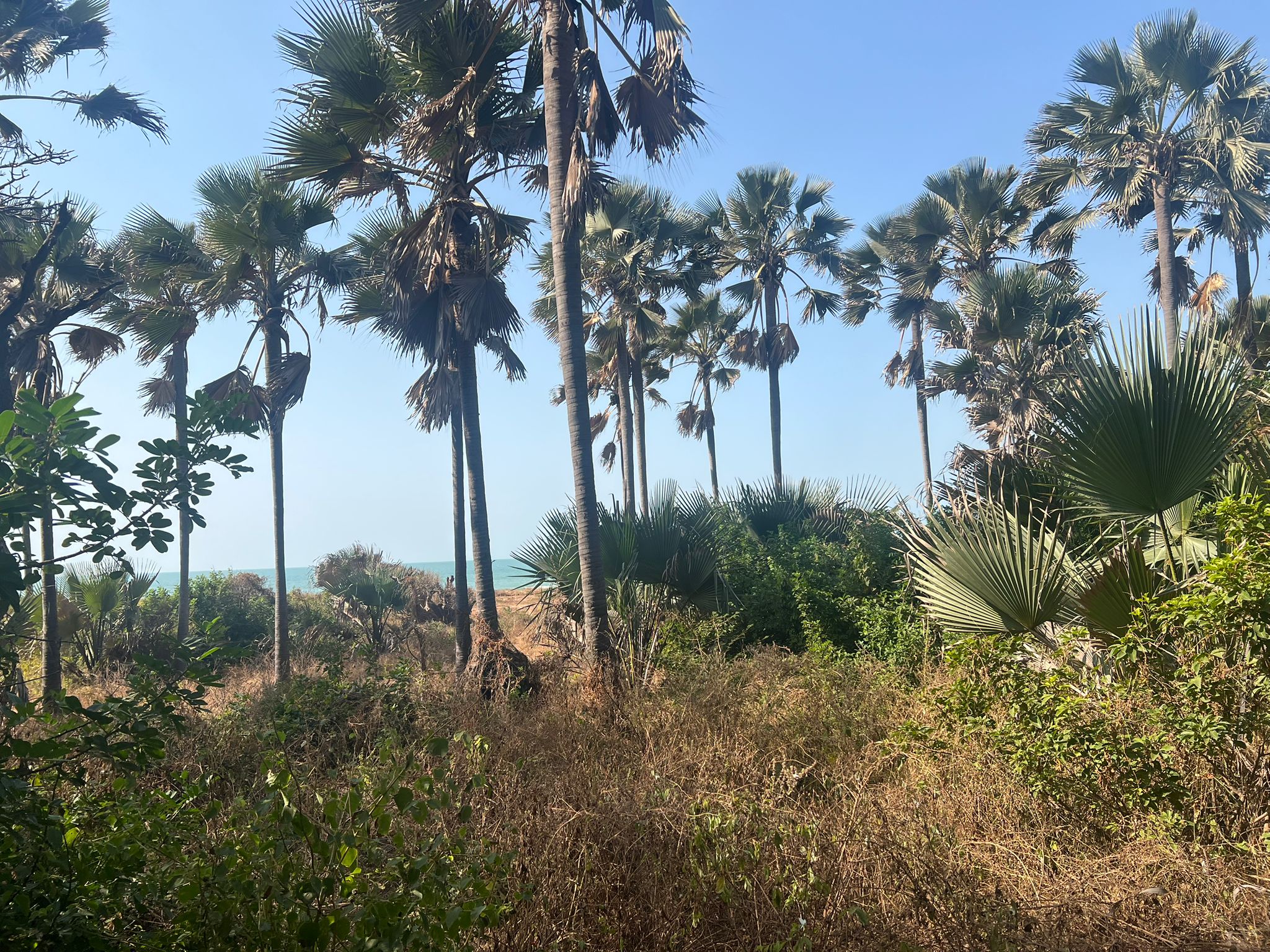 WhatsApp Image 2026-01-10 at 05.55.42 (3)