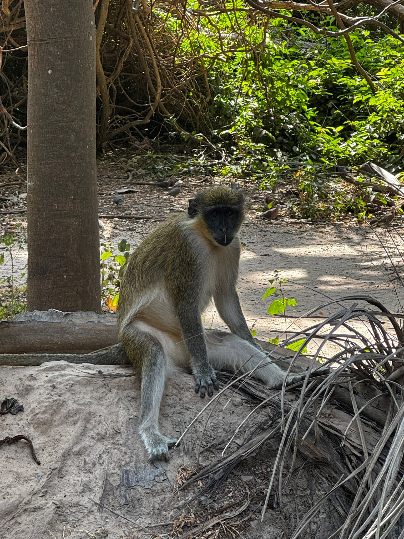 WhatsApp Image 2026-01-10 at 05.55.42 (4)